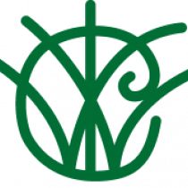IWCB -  The International Women's Club Bratislava